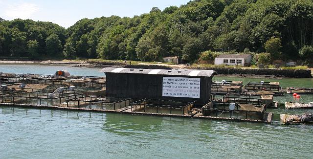 428 Auray - Golfe de Morbihan.JPG